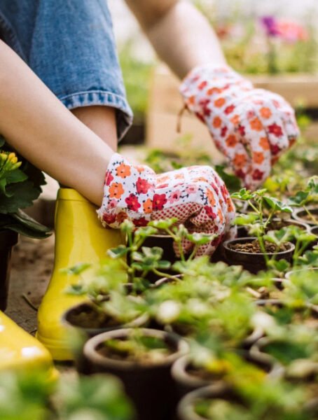 Horticulture Services